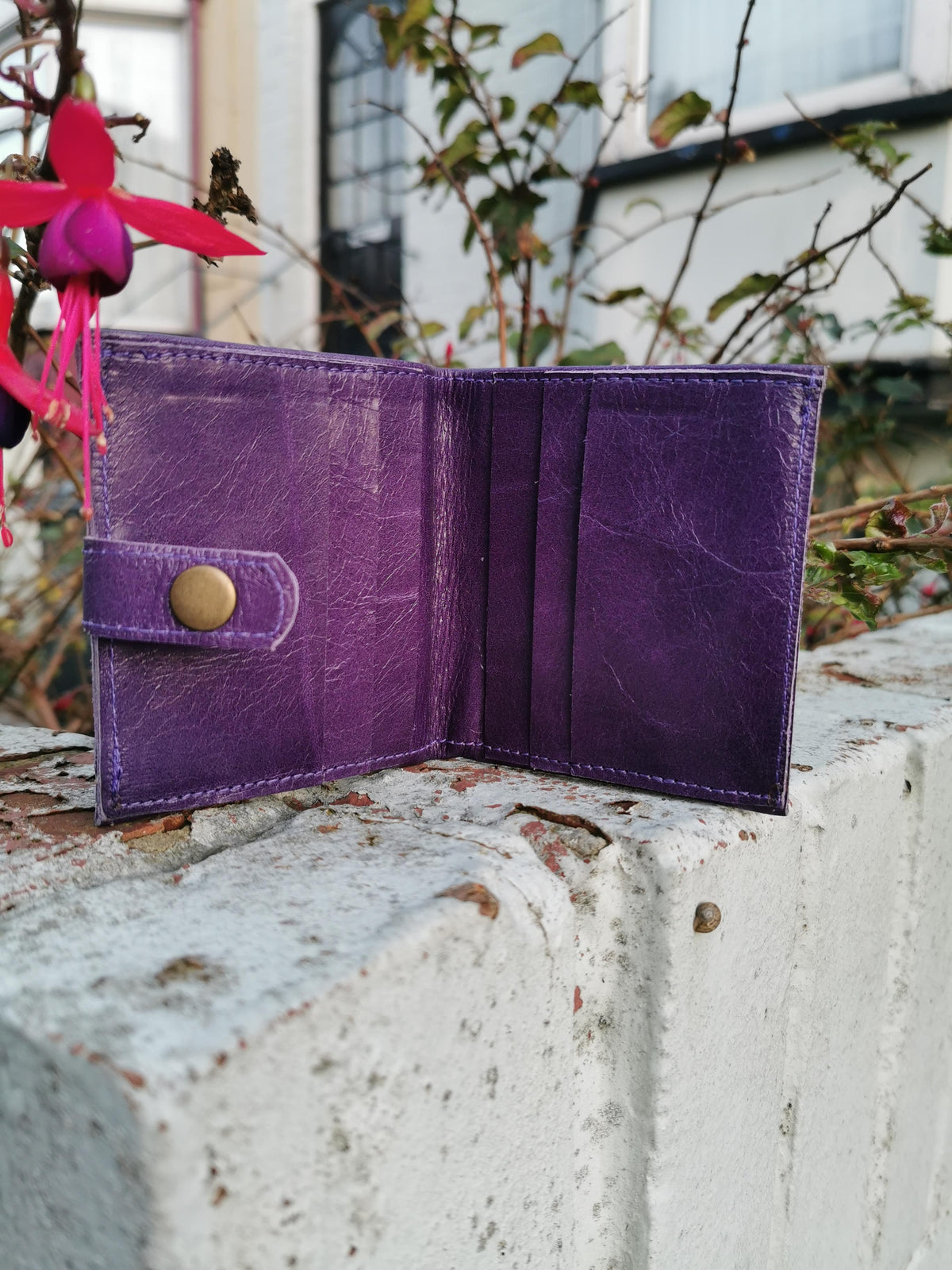 Ison wallet in purple