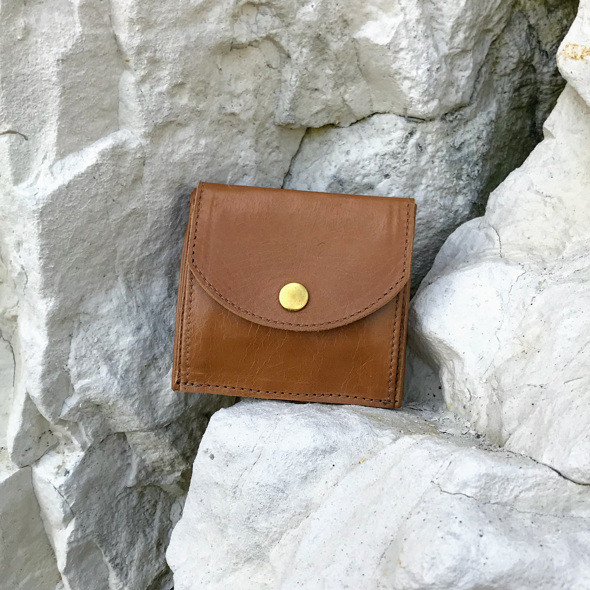 Ison wallet in tan