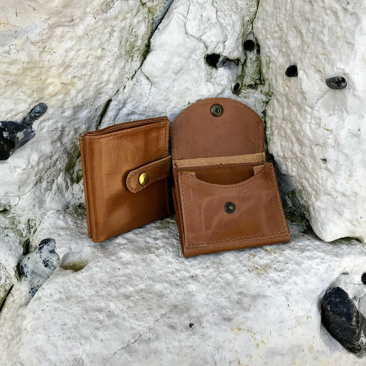 Ison wallet in tan
