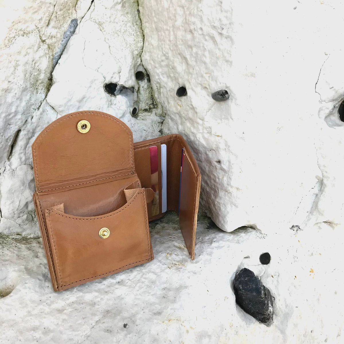 Ison wallet in tan