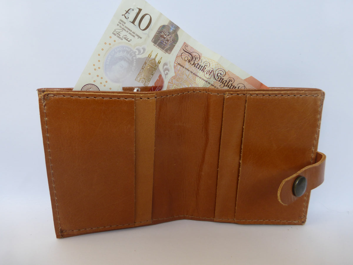 Ison wallet in tan