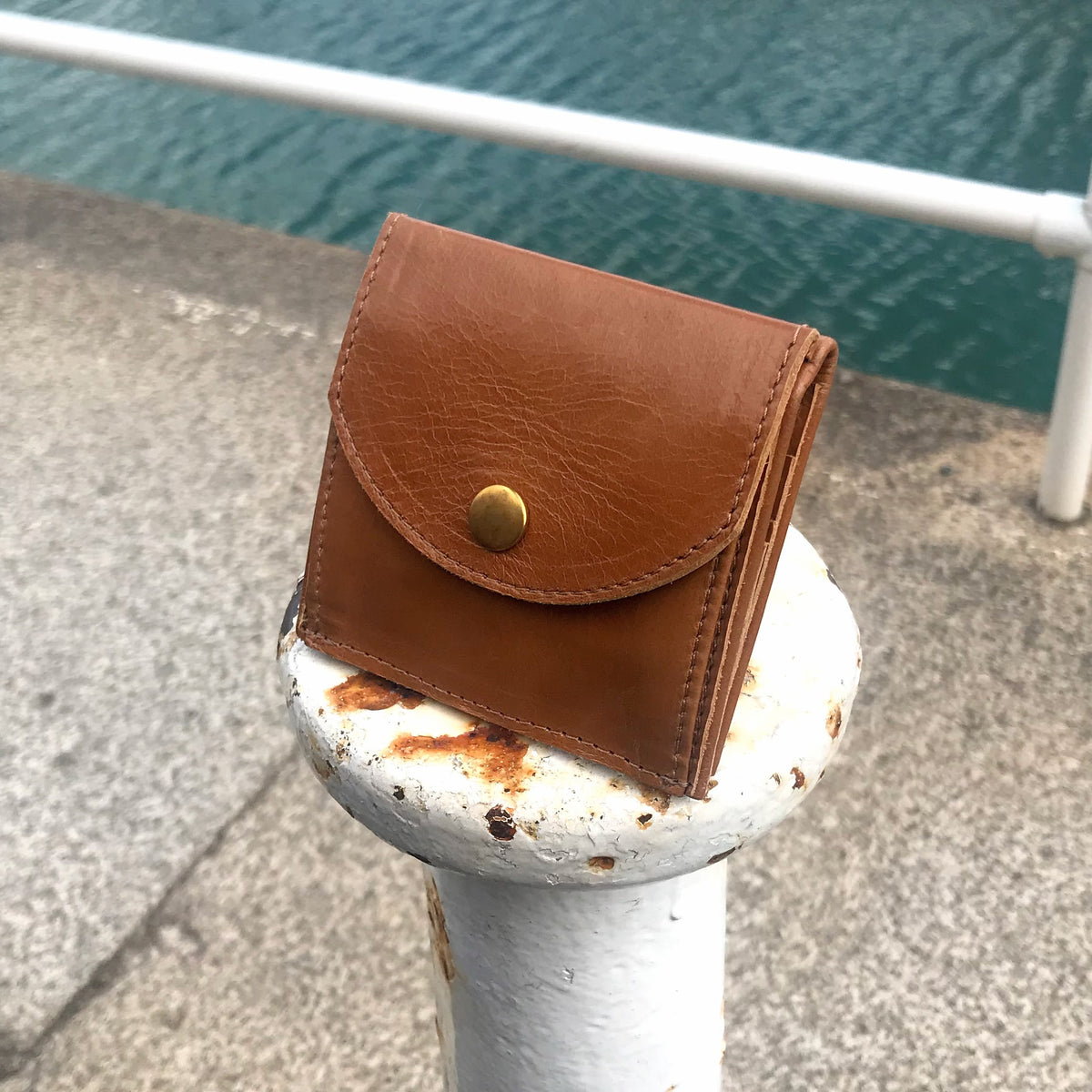 Ison wallet in tan